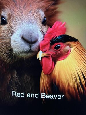 cover image of Red and Beaver